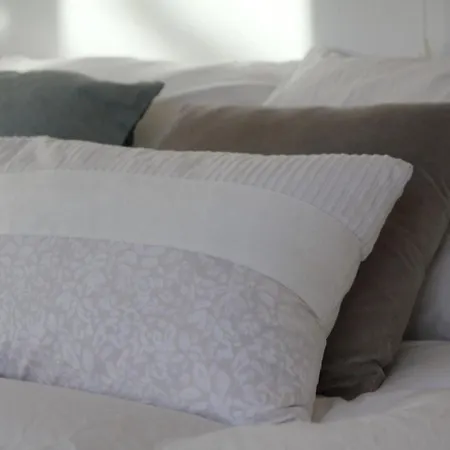 Hip אלקמאר